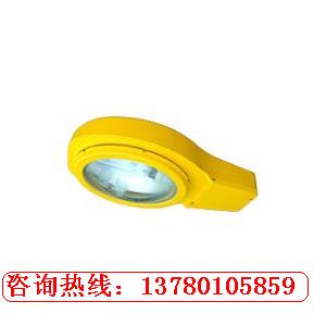 CBLC8610 防爆道路灯 厂家报价 　