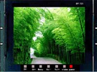 17寸彩色液晶监视器