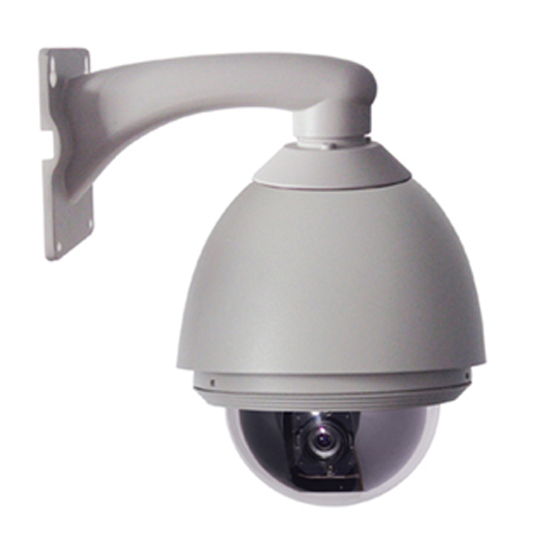 6寸高速球（特价）