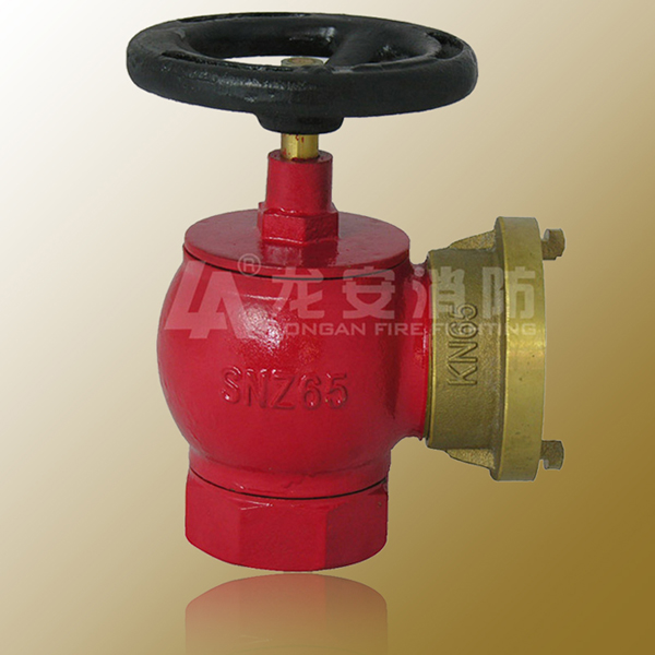 SNZ65旋转型室内消火栓