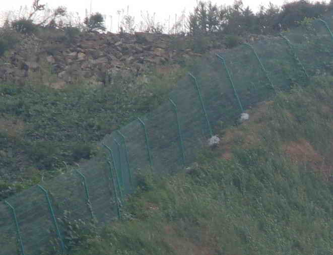 RX-050型SNS被动防护网