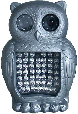 IR双CCD红外防水一体机