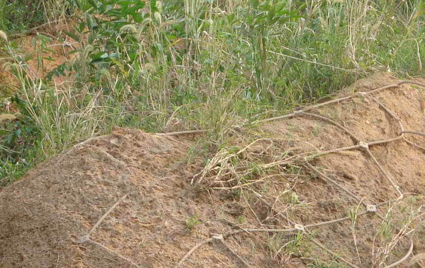 GPS2型主动防护网供应信息