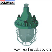 BAD53-100隔爆型防爆灯