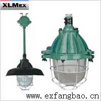 BAD51-200隔爆型防爆灯