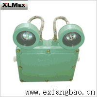 BAJ52 防爆应急灯