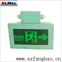 BAYD-9/20 防爆标志灯
