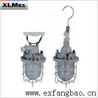 BAD53-100S隔爆型防爆行灯