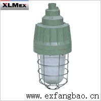 DCG59一体式防爆灯