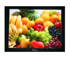 供应19寸液晶监视器