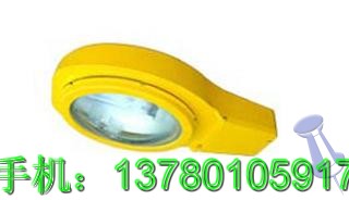 CBQ6500便携式防爆强光灯