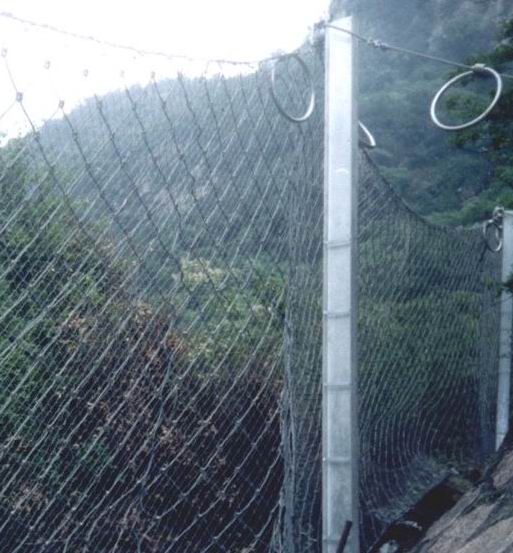 锦程供应大量被动防护网质量有保证。