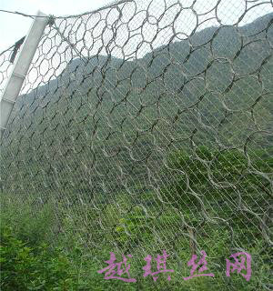勾花网、菱形网、购花网、勾花网厂家、勾花网护栏
