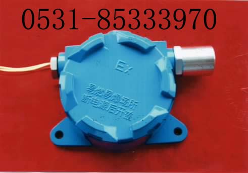 可燃气体报警器，可燃气体报警仪