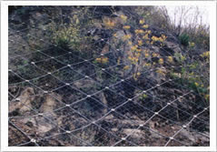 SNS柔性边坡防护网-GND