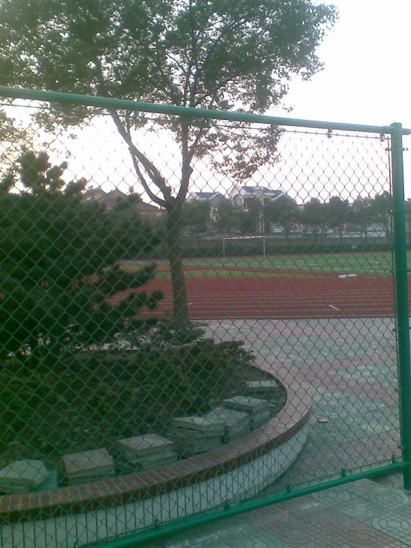 供应体育场围栏网 勾花护栏网