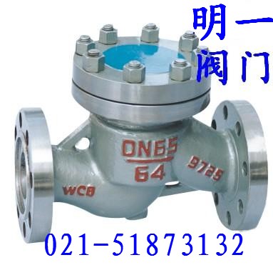 碳钢升降式止回阀H41H-16-25C