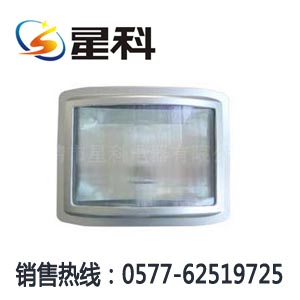 NSC9720〖NSC9720〗防眩通路灯“NSC9720”