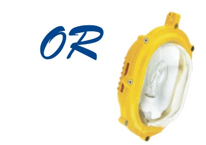 BFE8120内场防爆应急灯