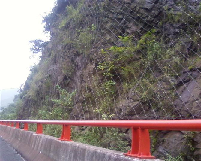 低价促销-SNS主动防护网