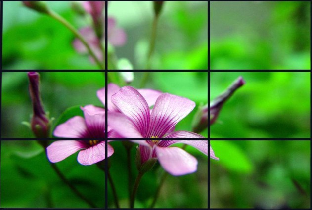 三星超视界无缝液晶视频墙