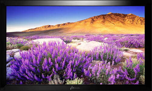 长期供应吉禄i-Panel 42寸数字告示液晶显示器IP421-DS