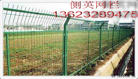 养殖防护网，护栏网，侧英防护网