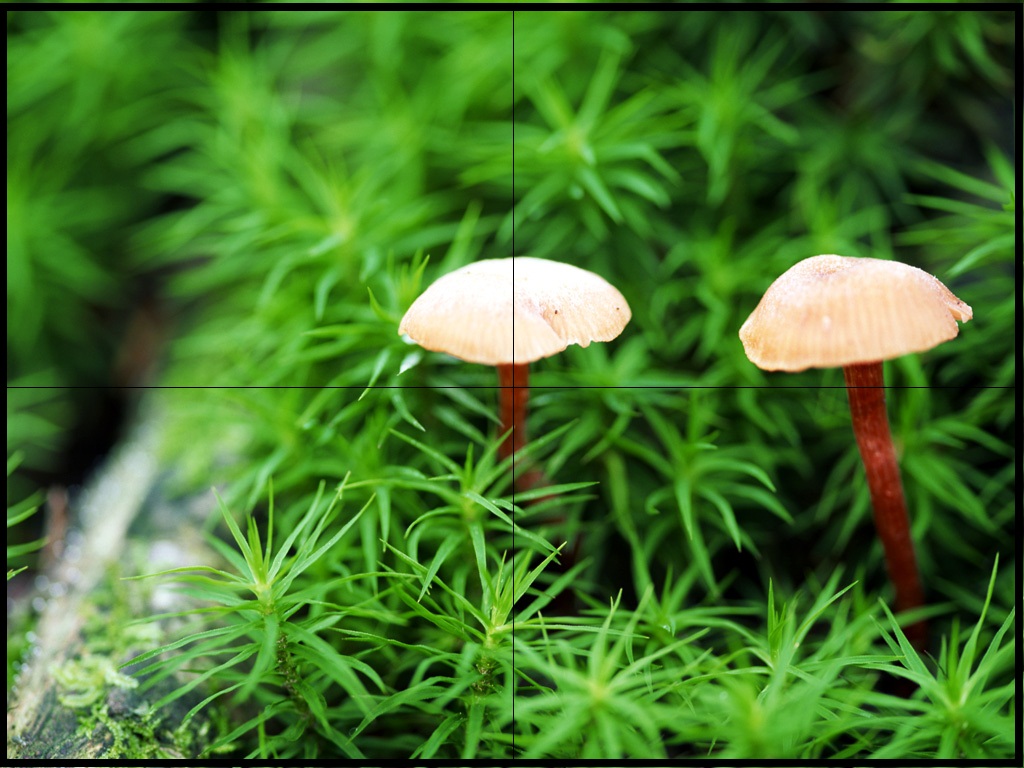 三星液晶拼接墙,LCD拼接屏,超窄边液晶拼接屏,深圳液晶拼接