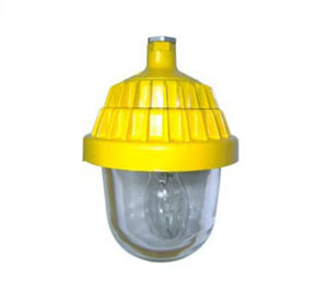 海洋王 防暴灯BPC8720 海洋王防爆平台灯