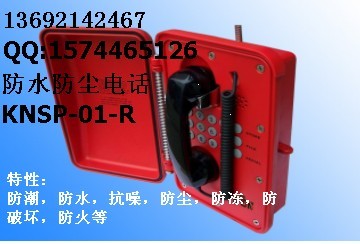防冻防尘电话，防冻防尘电话机，事故应急电话