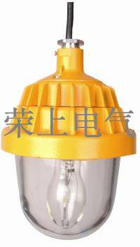 防爆平台灯