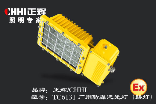 厂用防爆泛光灯（路灯）