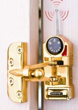 室内防盗报警器（安力士数码护门神AS8161)