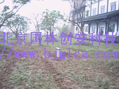 埋地泄漏电子围栏报警系统