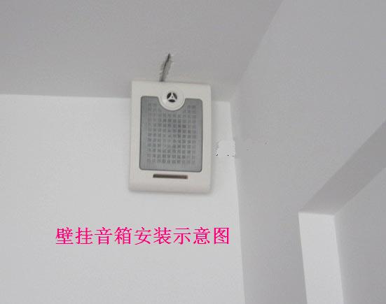 有源壁挂音箱