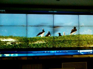 55寸液晶超窄边拼接屏（5.3mm）