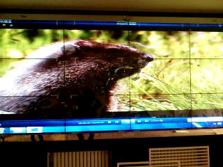 40寸拼接显示单元（20mm）