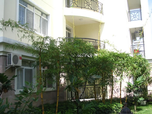 江苏隐形防盗网