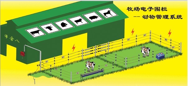上海索脉SM-A1000品牌脉冲主机