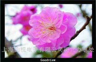 65寸工业级液晶监视器