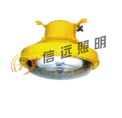 防爆无极荧光灯