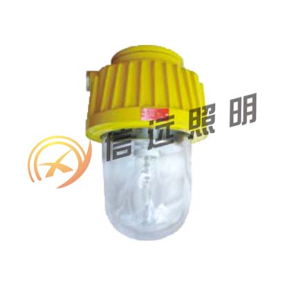 防爆平台灯4
