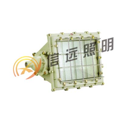 防爆泛光灯3