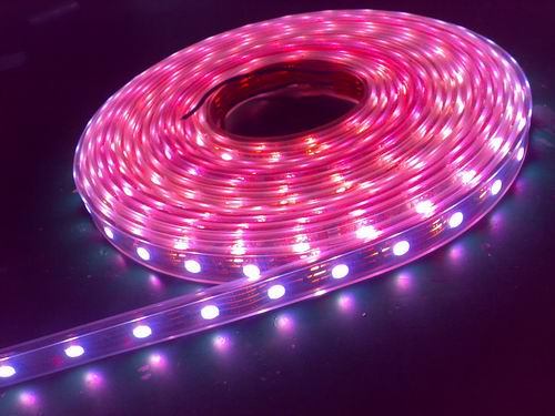 5050RGBled软灯条