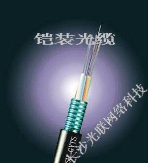 铠装光缆,室外铠装光缆低价销售0731-85501765