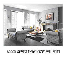 正宏泰公司（BELIEF）BEL-8000D高性能红外双元探测器 厂家直供