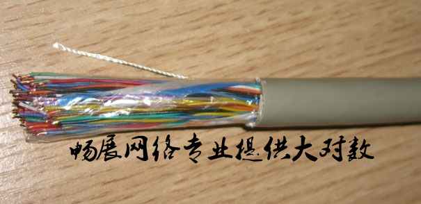 安普三类50对大对数