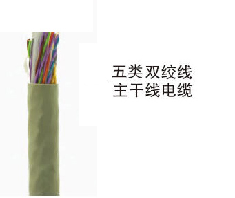 耐克森5类大对数