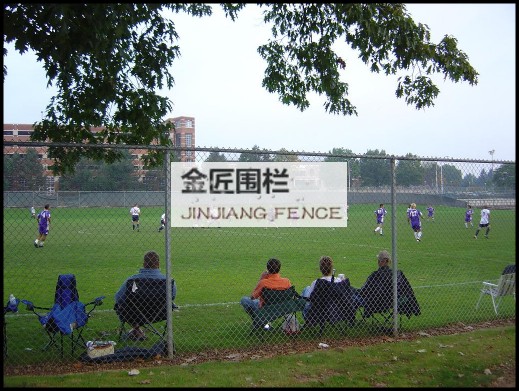 包塑勾花网---安平县金匠围栏网厂