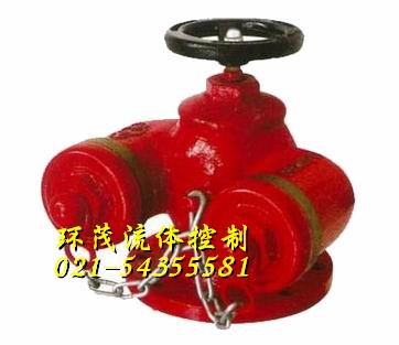 SQD多用式消防水泵接合器